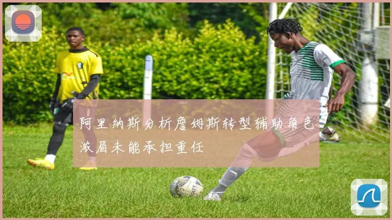 阿里纳斯分析詹姆斯转型辅助角色浓眉未能承担重任