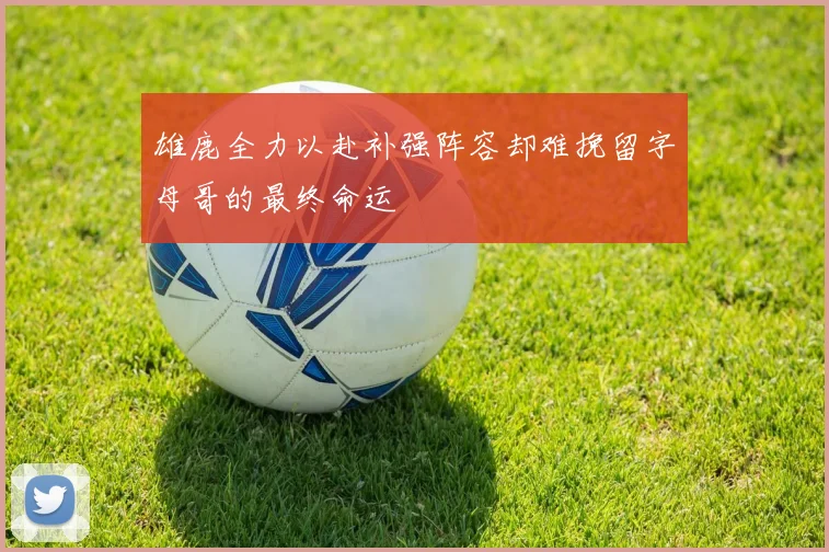 雄鹿全力以赴补强阵容却难挽留字母哥的最终命运